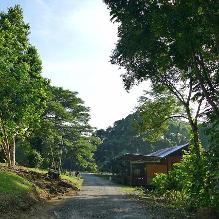 Sepilok B&B Exterior photo